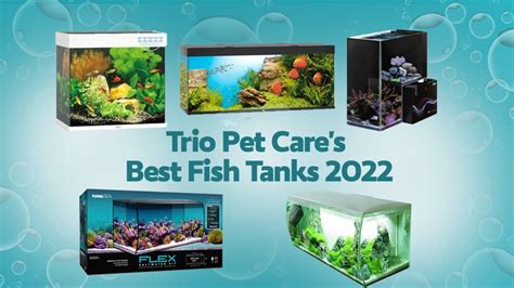 9 Best Fish Tanks in 2022 .